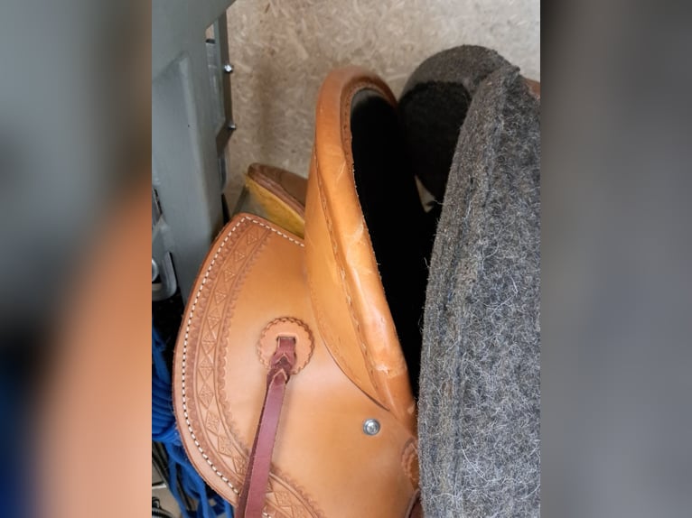 Westernsattel für Breite Pferde