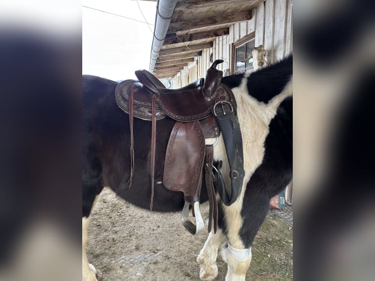 Westernsattel Kenner Store