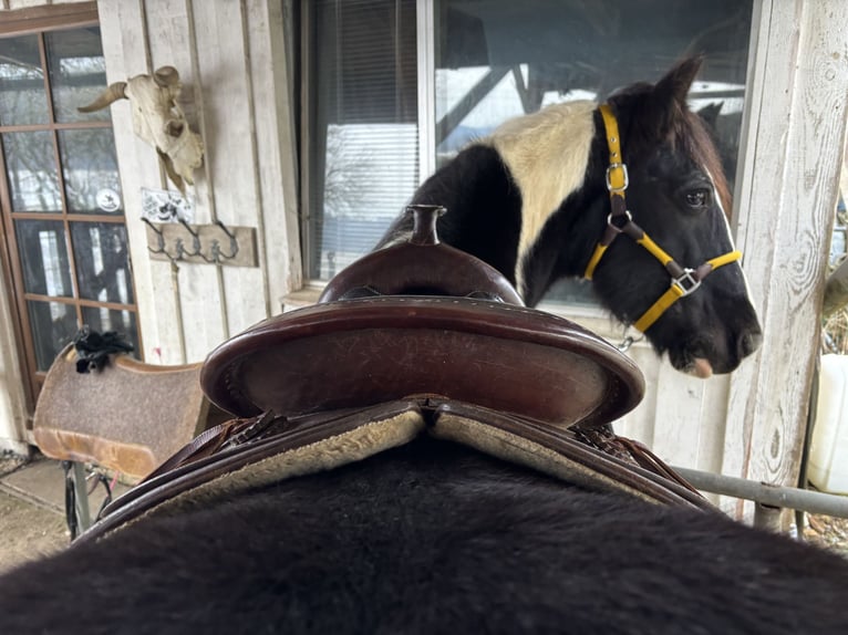 Westernsattel Kenner Store