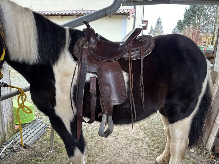 Westernsattel Kenner Store