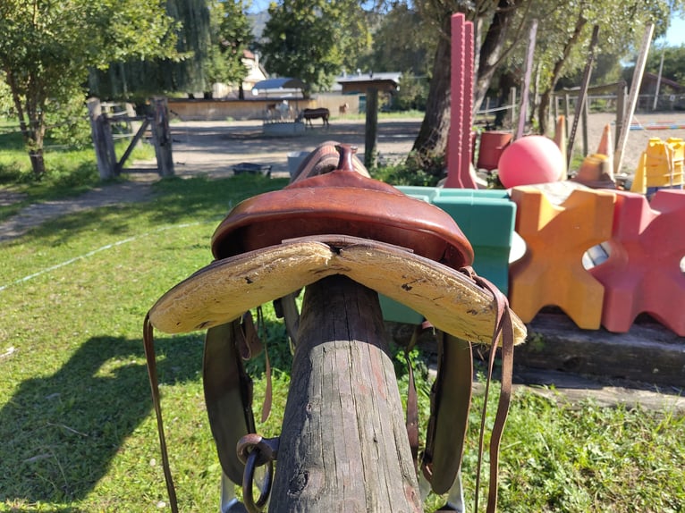 Westernsattel mit Westernpad