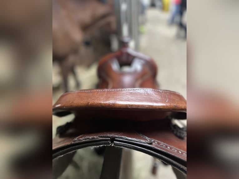 Westernsattel Montana Roundskirt braun Leder