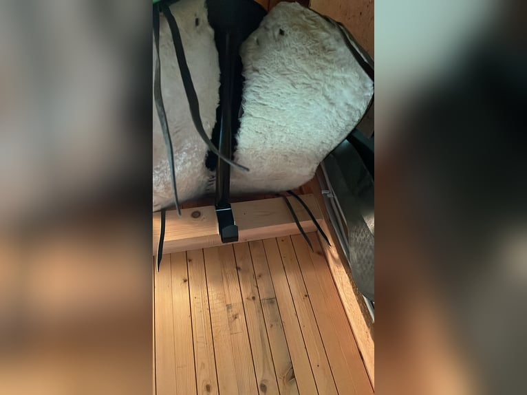 Westernsattel No Name