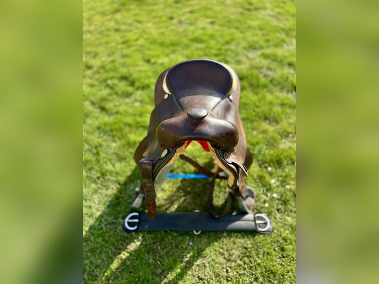 Westernsattel saddlesmith action NRHA 22653 Sitzgröße 15,5