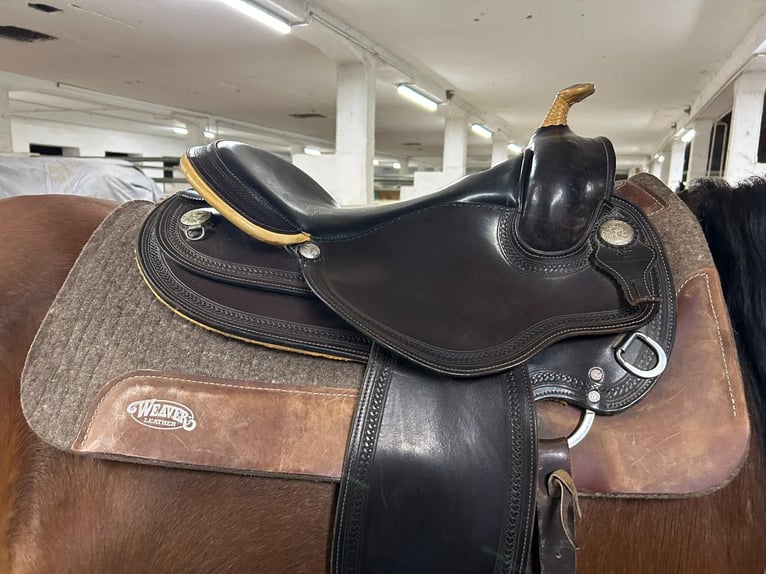 Westernsattel schmal