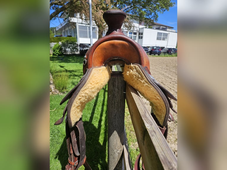 Westernsattel von Circle Y