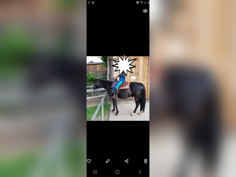 Westernsattel von simco abzugeben
