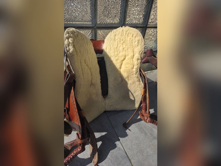 Westernsattel Way Out West Standard Reiner