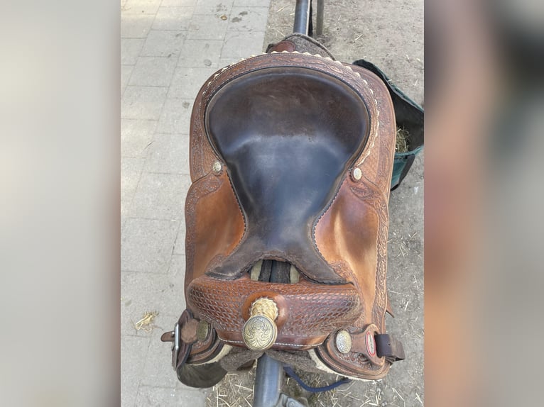 Westernsattel zu verkaufen 