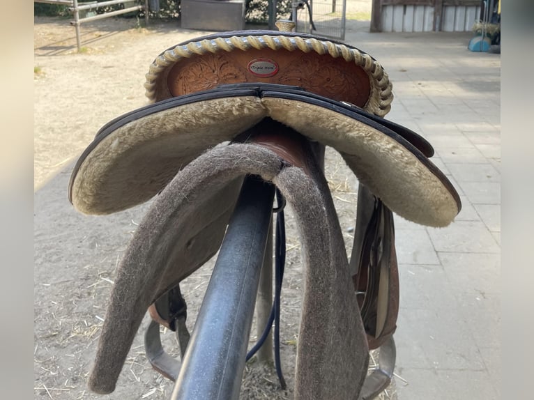 Westernsattel zu verkaufen 