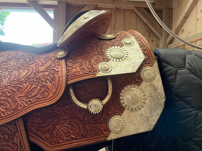 ✨ Wunderschöner Western Showsattel zu verkaufen ✨