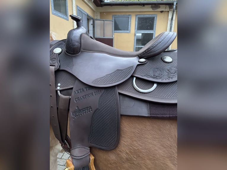 WWW Platinum Westernsattel / Tripel W