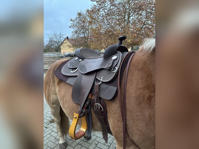 WWW Platinum Westernsattel / Tripel W