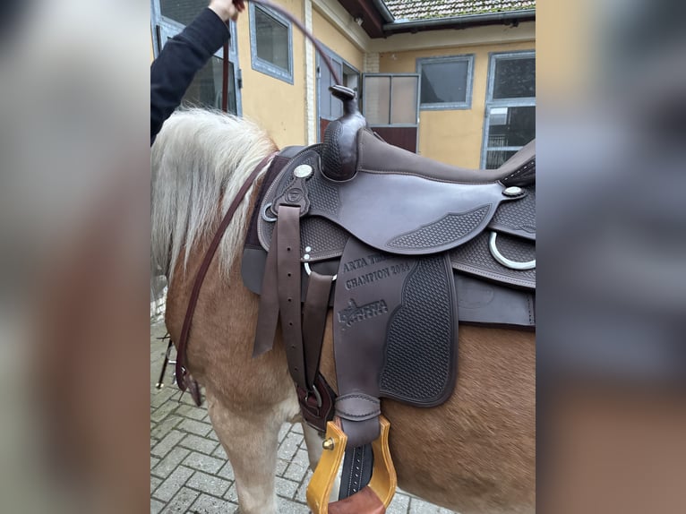 WWW Platinum Westernsattel / Tripel W