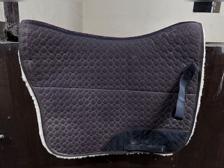 Christ Lammfell Portuguesa