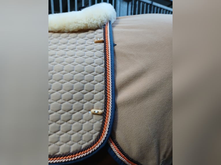 Edles Weihnachtsgeschenk