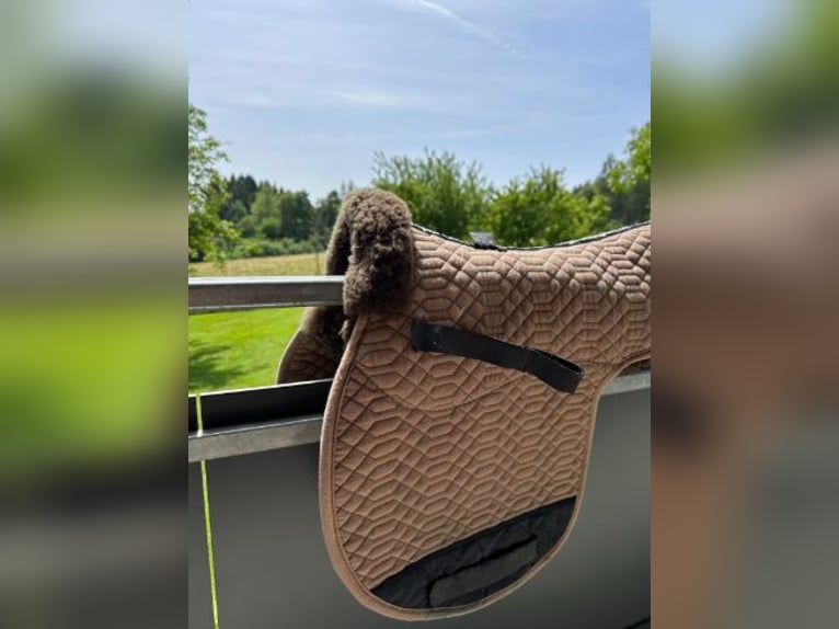 Lammfell-Satteldecke der Marke Engel Reitsport l Farbe Camel