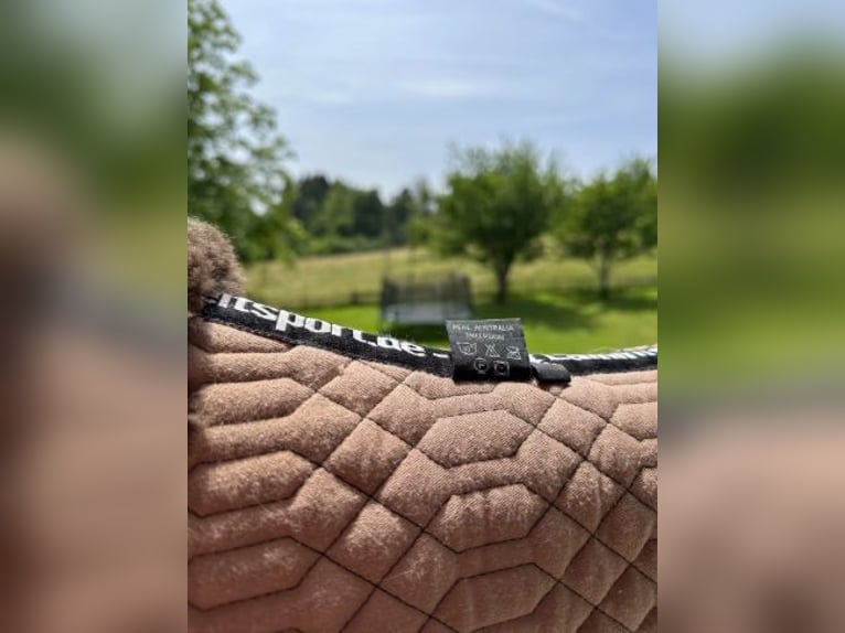 Lammfell-Satteldecke der Marke Engel Reitsport l Farbe Camel