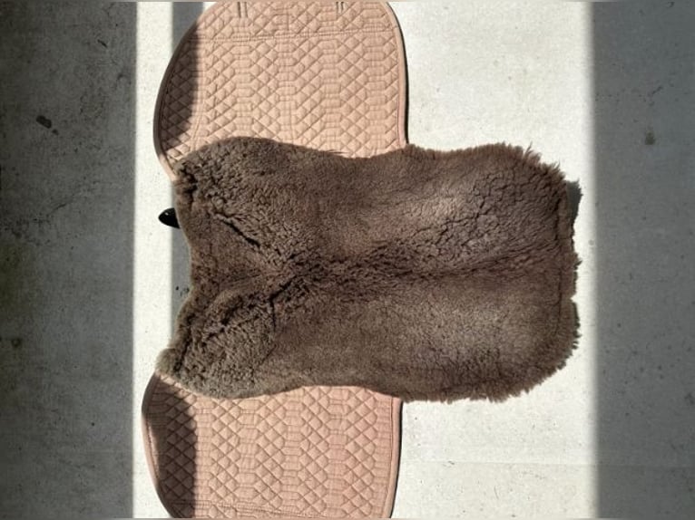 Lammfell-Satteldecke der Marke Engel Reitsport l Farbe Camel