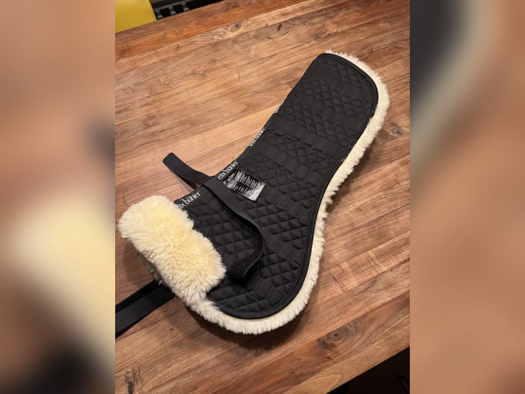 Lammfell-Sattelpad Felix Bühler Melbourne