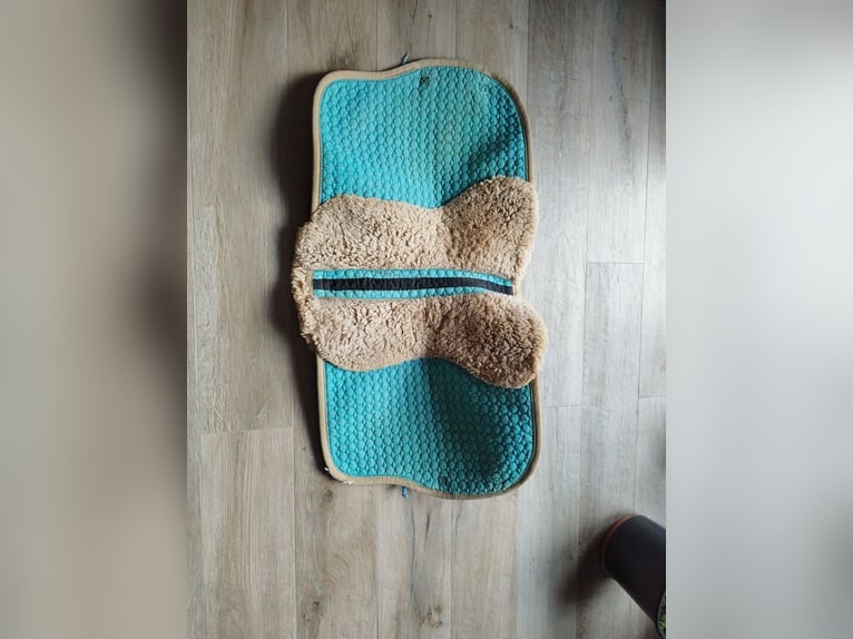 Mattes Lammfellschabracke türkis DR L/Full