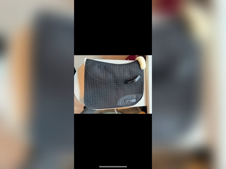 CHRIST Satteldecke Champ Dr/Wb