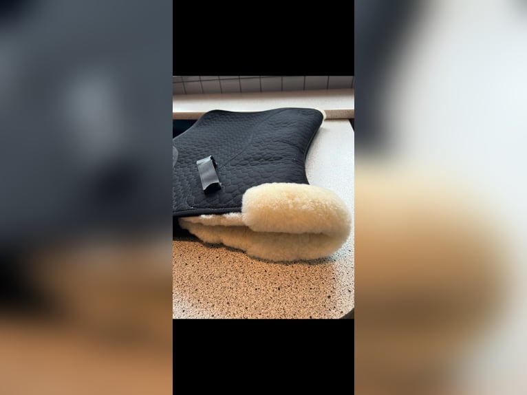 CHRIST Satteldecke Champ Dr/Wb