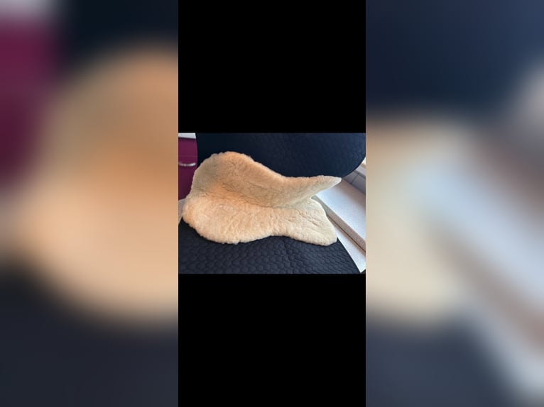 CHRIST Satteldecke Champ Dr/Wb