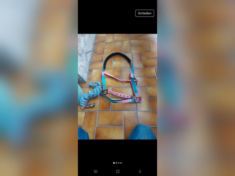 Dressur schabracke  Dressur schabracke