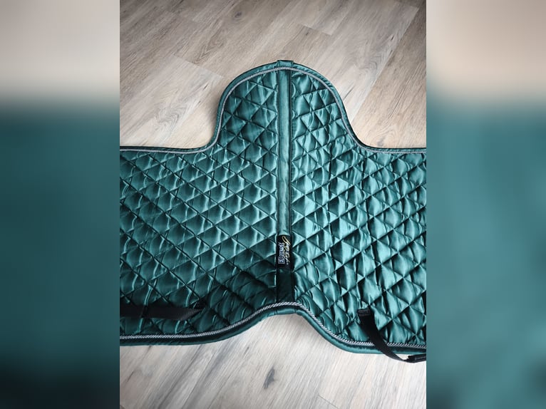 Equest Satteldecke 
