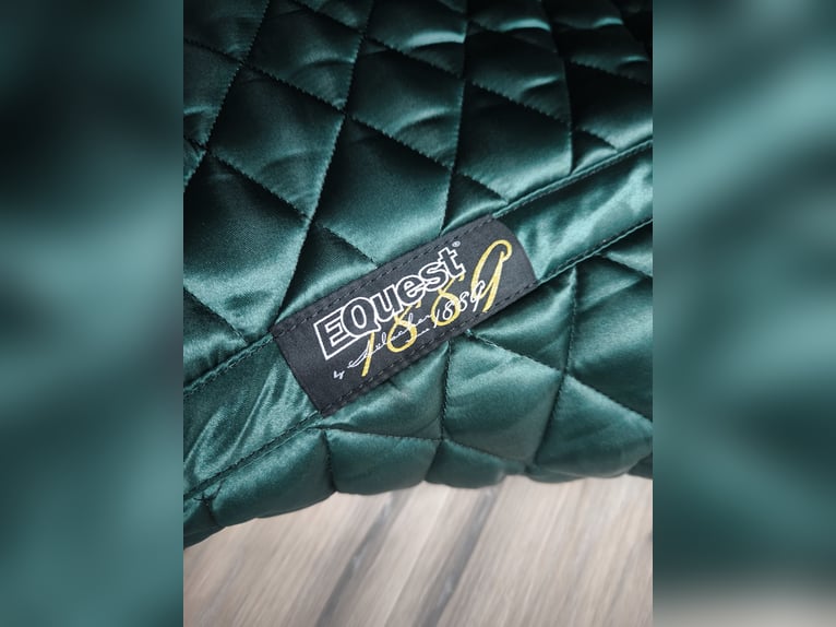 Equest Satteldecke 