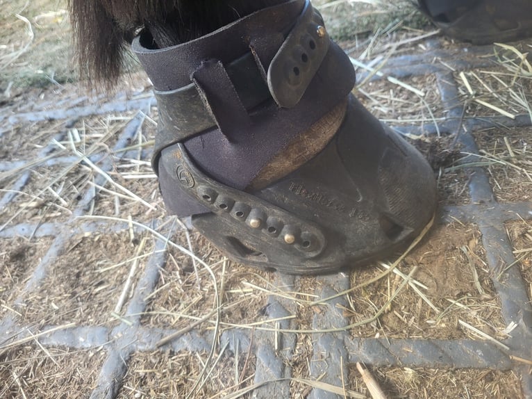 Hufschuhe