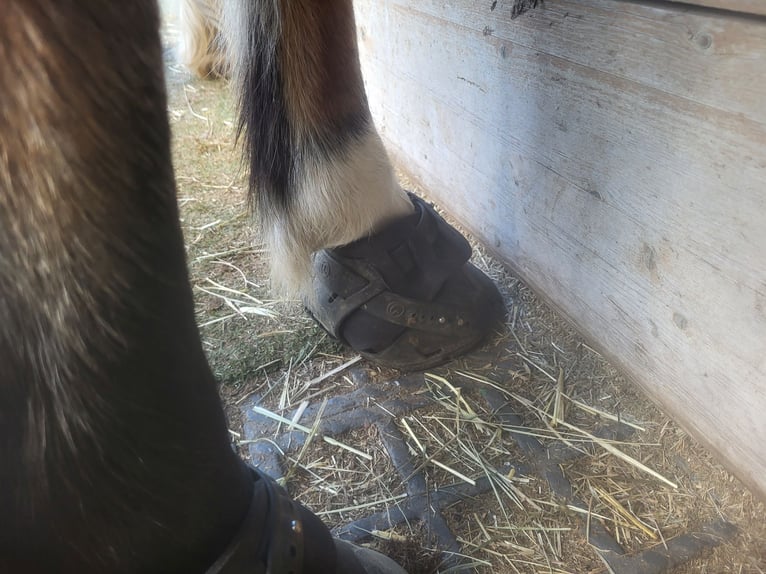 Hufschuhe