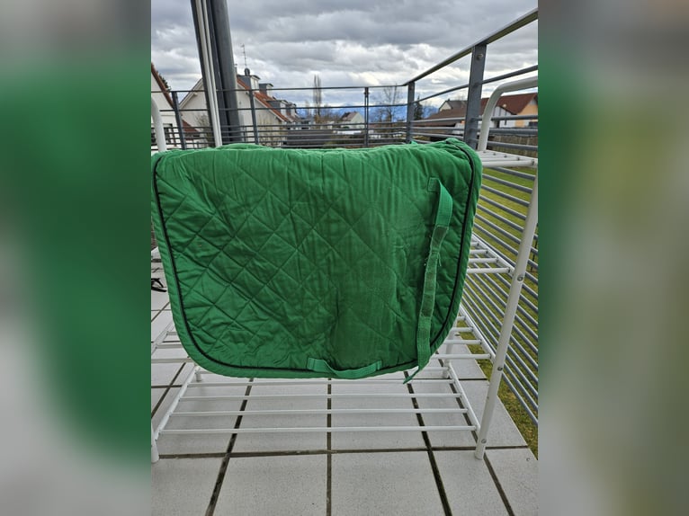 Satteldecke DR in grün