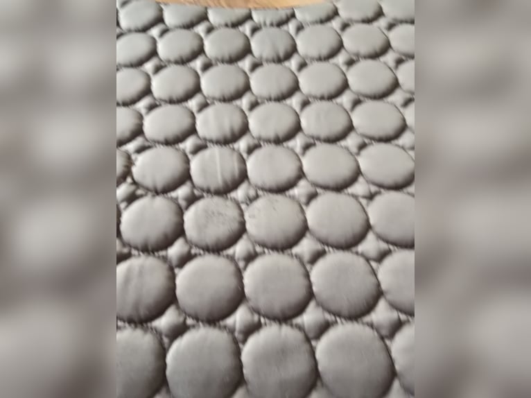 Schockemöhle Dressurschabracke satin-olive WB im Set Schockemöhle Dressurschabracke satin-olive WB im Set