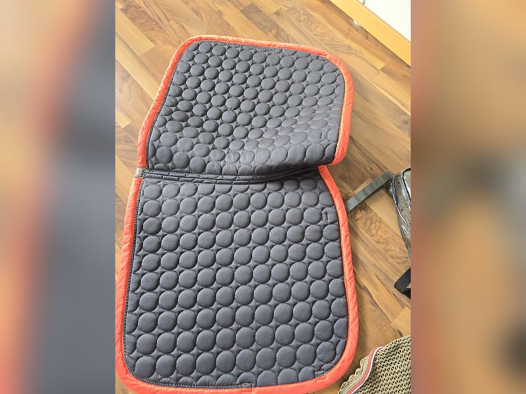 Schockemöhle Dressurschabracke satin-olive WB im Set Schockemöhle Dressurschabracke satin-olive WB im Set