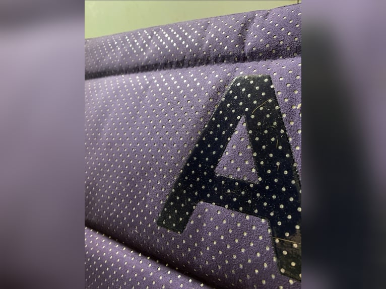 Anky Schabracke Glitzer 