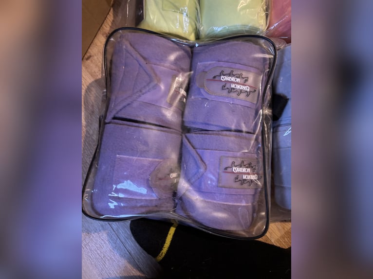 Bandagen verschiedene Farben minishetty Warmblut 