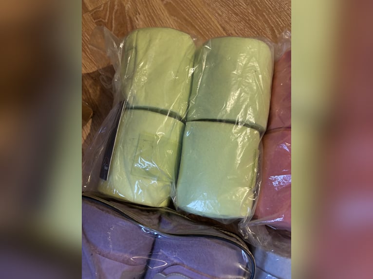 Bandagen verschiedene Farben minishetty Warmblut 