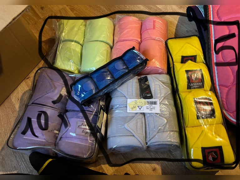 Bandagen verschiedene Farben minishetty Warmblut 