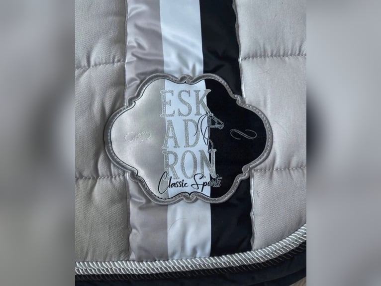 Beige Eskadron Dressurschabracken