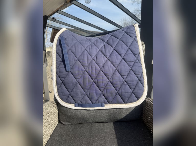 Blaue BR Dressurschabracke WB/DR