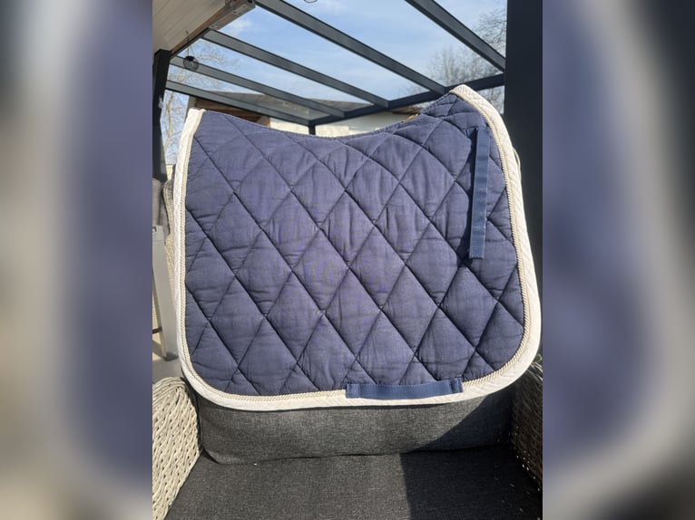 Blaue BR Dressurschabracke WB/DR