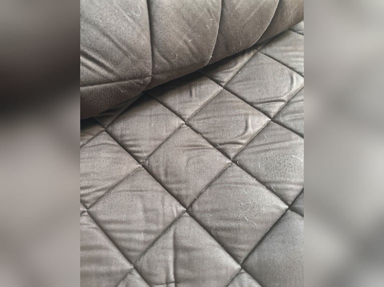 braune Dressur HV Polo Schabracke