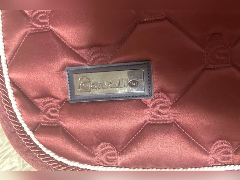 Cavallo Schabracke Pony Dressur PDR