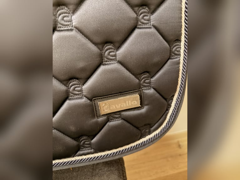 Cavallo Springschabracke VS Hanaya Midnight grey