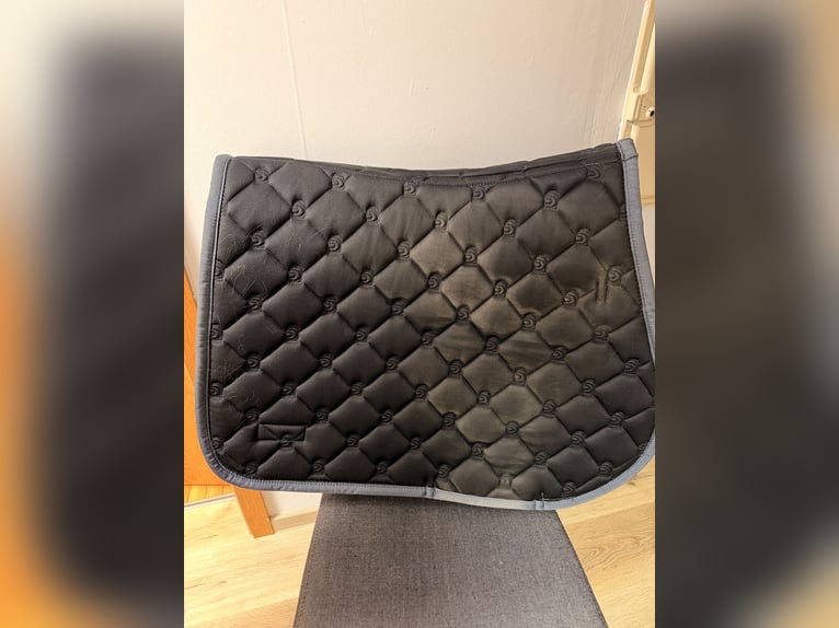 Cavallo Springschabracke VS Hanaya Midnight grey