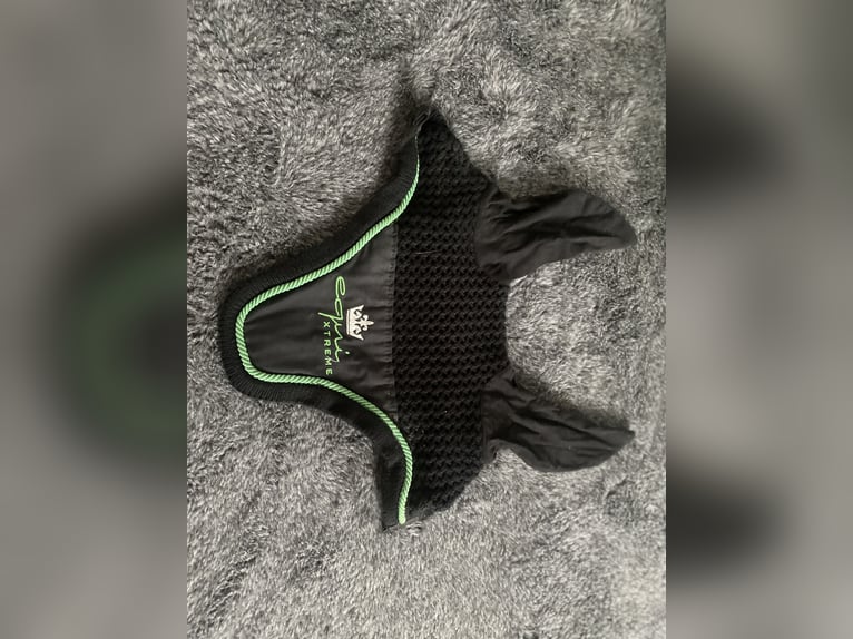 Dressur Set WB Schwarz Grün 