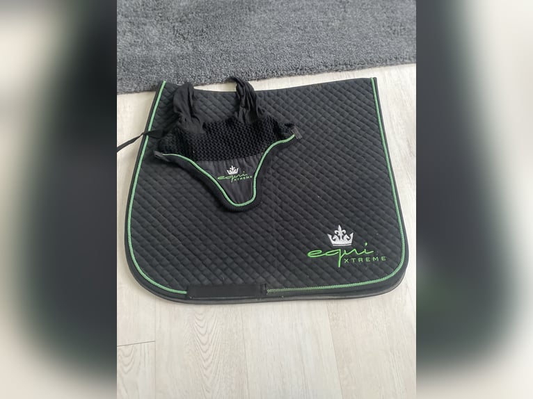 Dressur Set WB Schwarz Grün 