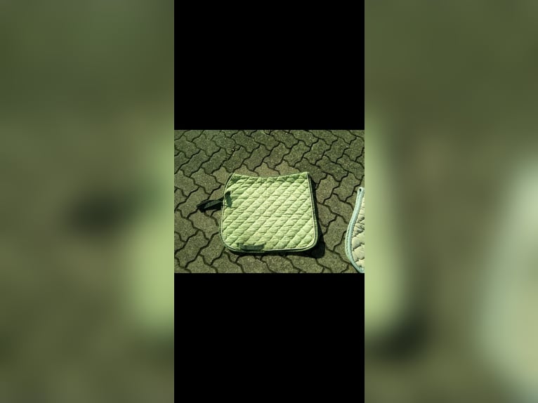 Dressurschabracke grün Dressurschabracke grün